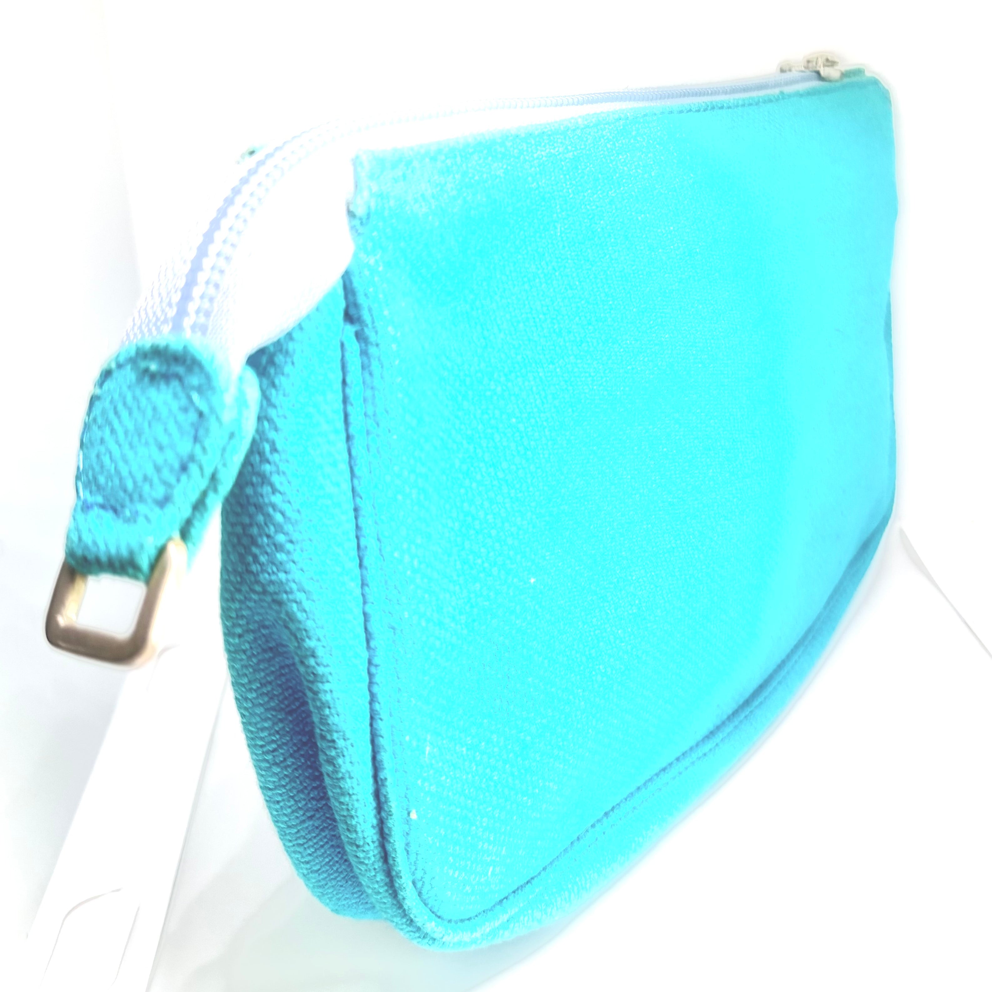 Blue Purse