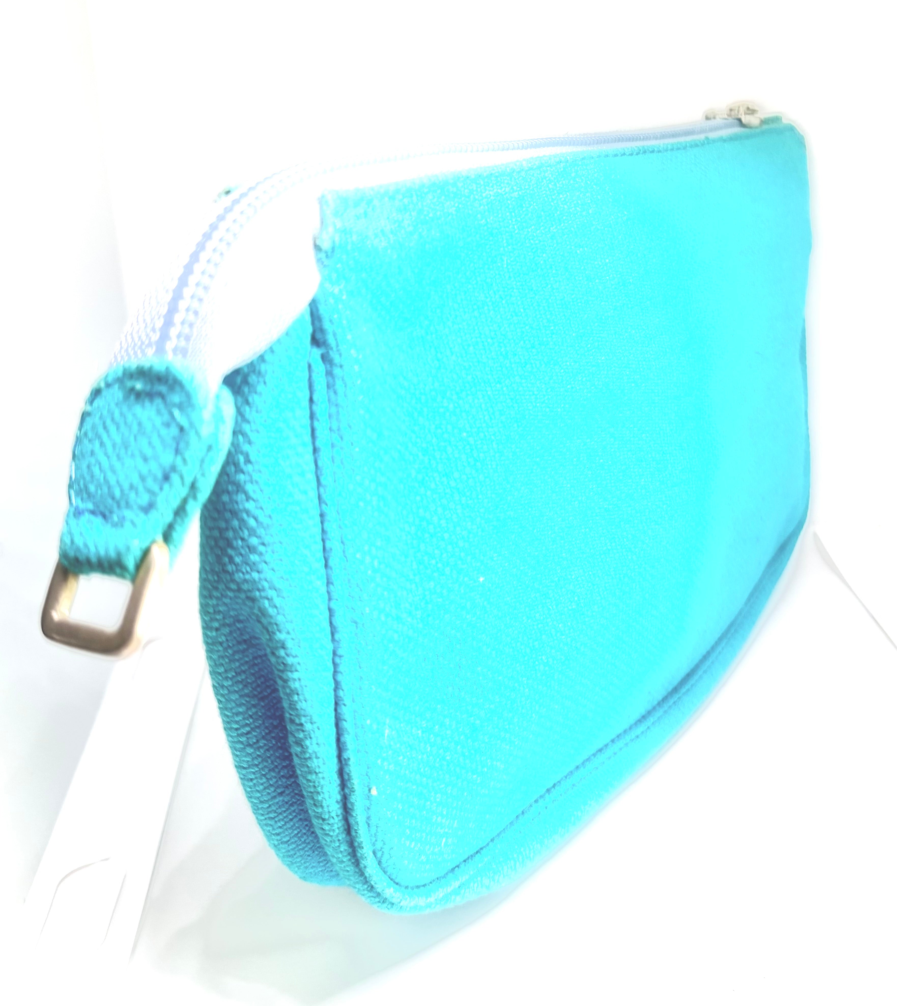 Blue Purse