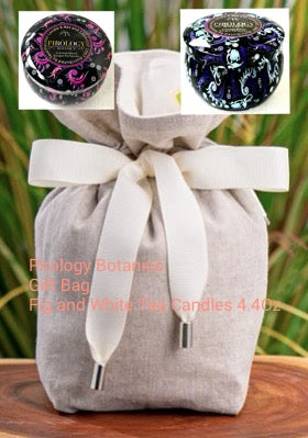 Candle Kit  Gift Bag  2 4.4 Oz Candle