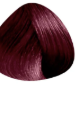 L'Oreal Richesse Hair Colour