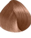 L'Oreal Richesse Hair Colour