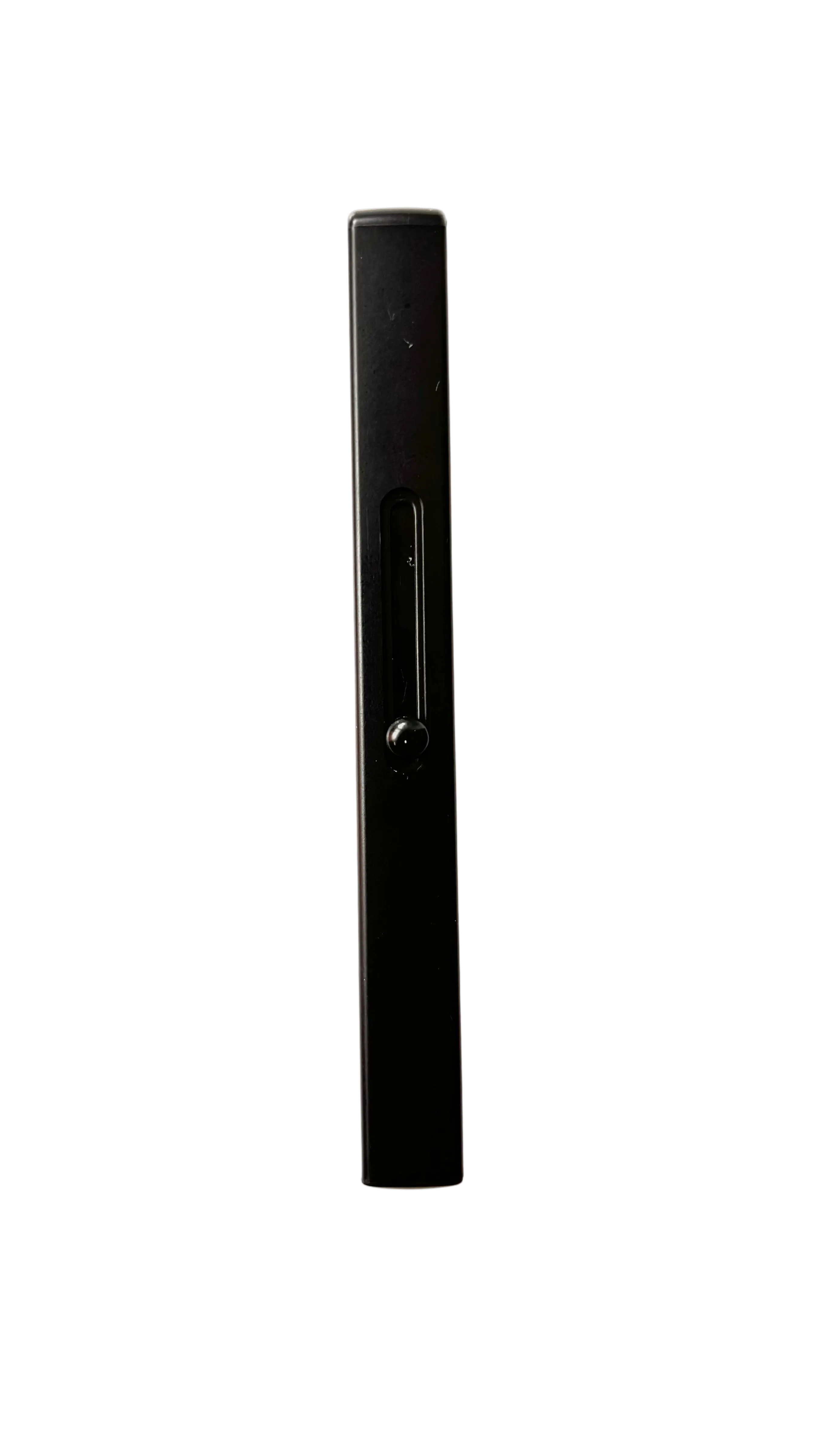 Black Retractable Lip Brush