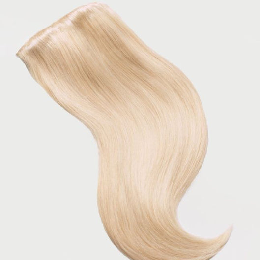 Hair Clip In Hair Extensions Remy Straight 18 inches ash blond 613