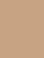 Eye Intensifier Pencil Golden Traingle