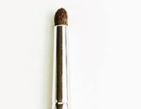 Eye Liner Brush Pointy Round Tip 19